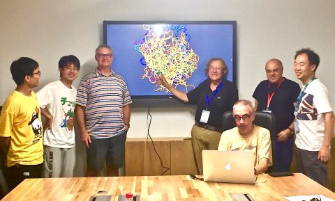 Working group at Beijing University of Technology (BJUT; Beijing). September 2019.